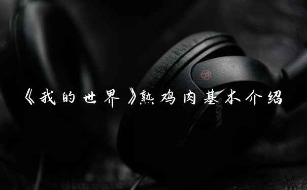 《我的世界》熟鸡肉基本介绍