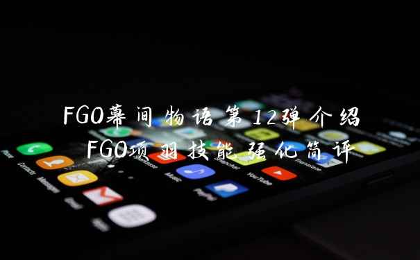 FGO幕间物语第12弹介绍 FGO项羽技能强化简评