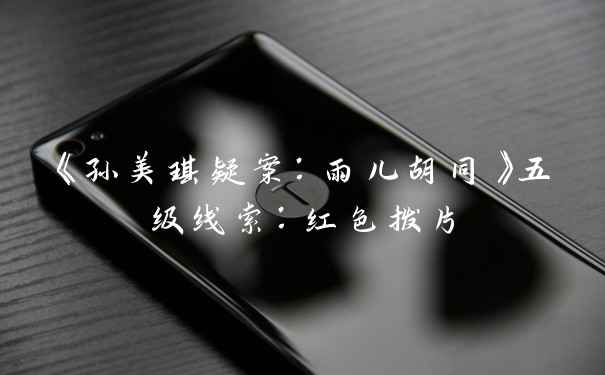 《孙美琪疑案:雨儿胡同》五级线索:红色拨片