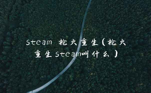 steam 枪火重生(枪火重生steam叫什么)