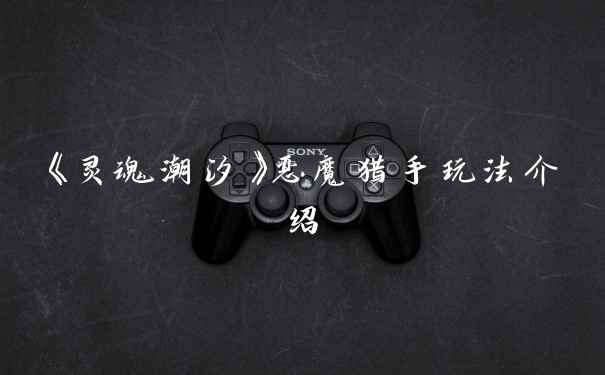 《灵魂潮汐》恶魔猎手玩法介绍