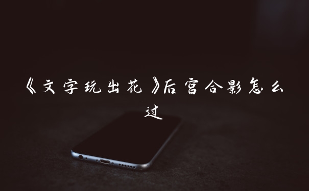 《文字玩出花》后宫合影怎么过