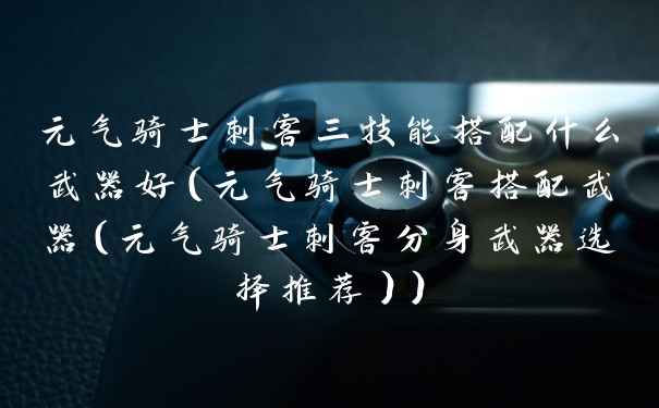 元气骑士刺客三技能搭配什么武器好（元气骑士刺客搭配武器（元气骑士刺客分身武器选择推荐））