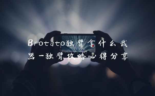 Brotato独臂拿什么武器-独臂攻略心得分享