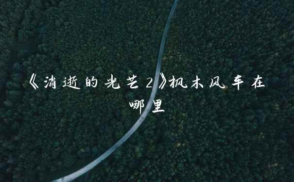 《消逝的光芒2》枫木风车在哪里