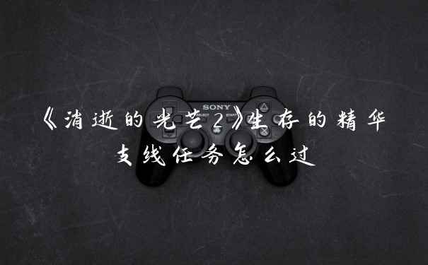 《消逝的光芒2》生存的精华支线任务怎么过