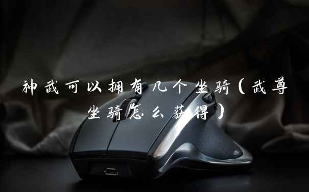 神武可以拥有几个坐骑(武尊坐骑怎么获得)