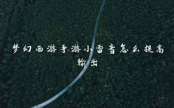 梦幻西游手游小雷音怎么提高输出