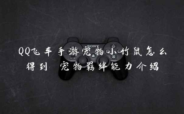 QQ飞车手游宠物小竹鼠怎么得到 宠物羁绊能力介绍