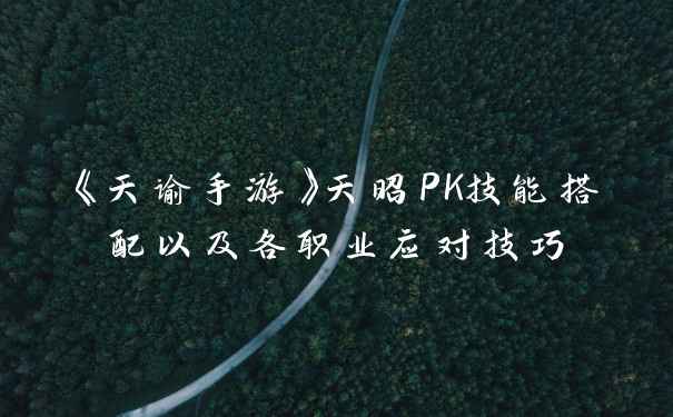 《天谕手游》天昭PK技能搭配以及各职业应对技巧