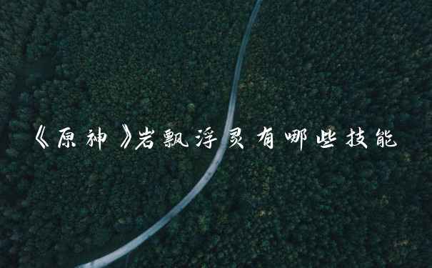 《原神》岩飘浮灵有哪些技能