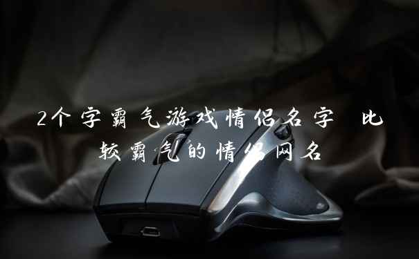 2个字霸气游戏情侣名字 比较霸气的情侣网名