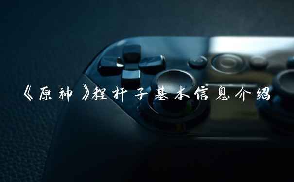 《原神》程杆子基本信息介绍