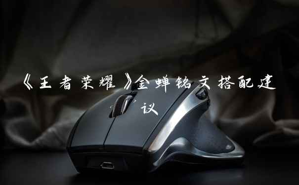 《王者荣耀》金蝉铭文搭配建议