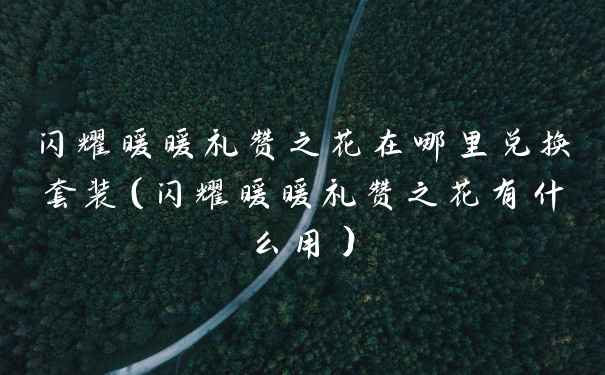 闪耀暖暖礼赞之花在哪里兑换套装（闪耀暖暖礼赞之花有什么用）
