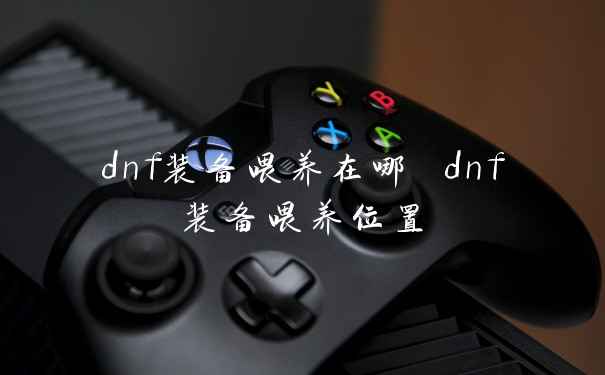 dnf装备喂养在哪 dnf装备喂养位置