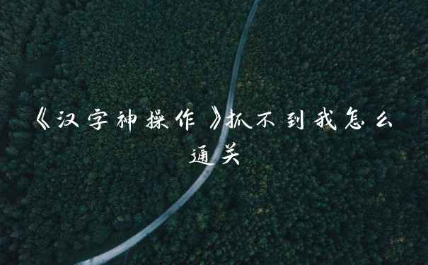 《汉字神操作》抓不到我怎么通关