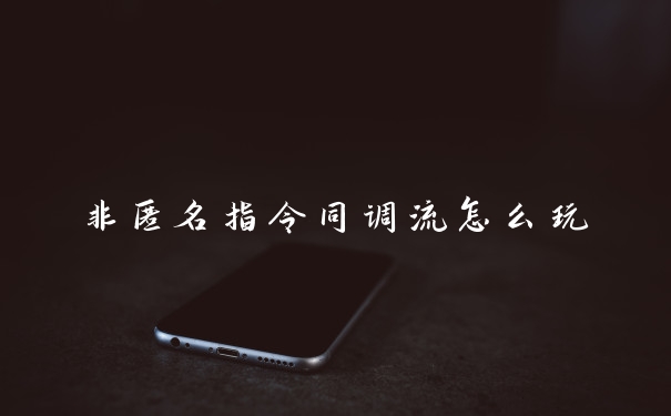 非匿名指令同调流怎么玩