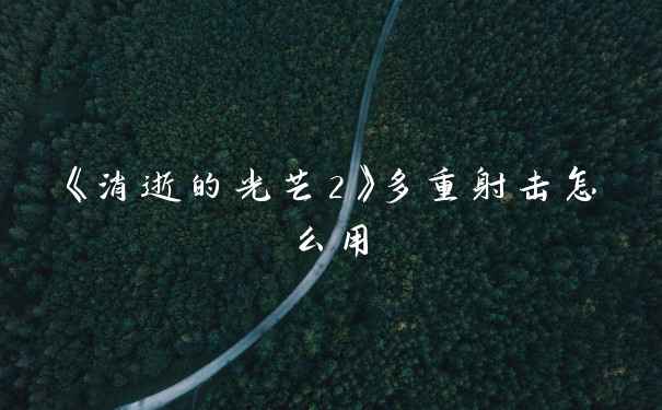 《消逝的光芒2》多重射击怎么用