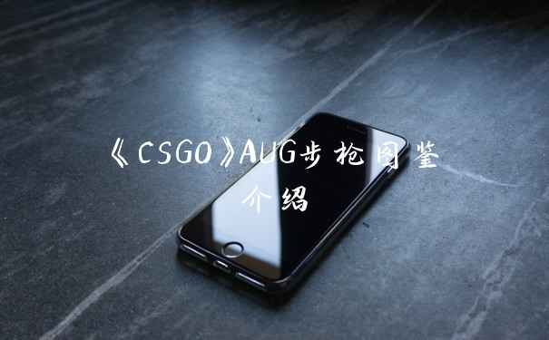《CSGO》AUG步枪图鉴介绍