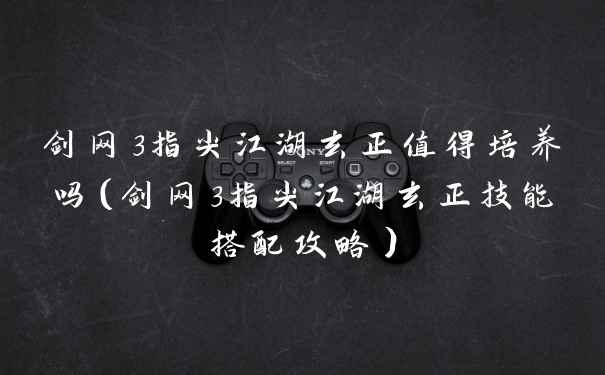剑网3指尖江湖玄正值得培养吗（剑网3指尖江湖玄正技能搭配攻略）
