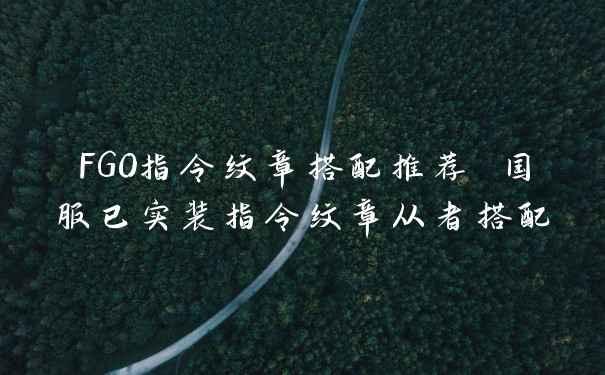 FGO指令纹章搭配推荐 国服已实装指令纹章从者搭配