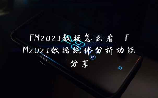 FM2021数据怎么看 FM2021数据统计分析功能分享