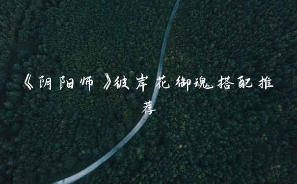 《阴阳师》彼岸花御魂搭配推荐