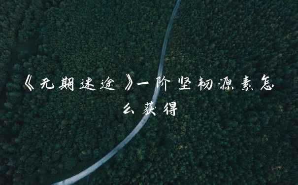 《无期迷途》一阶坚韧源素怎么获得