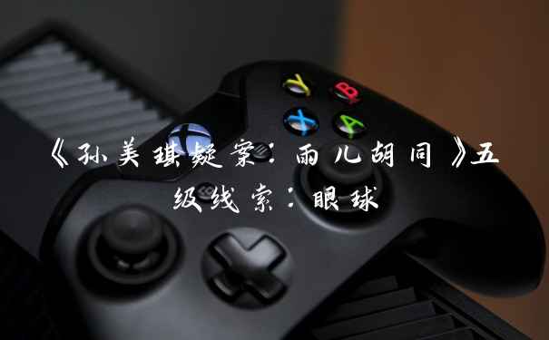 《孙美琪疑案：雨儿胡同》五级线索：眼球