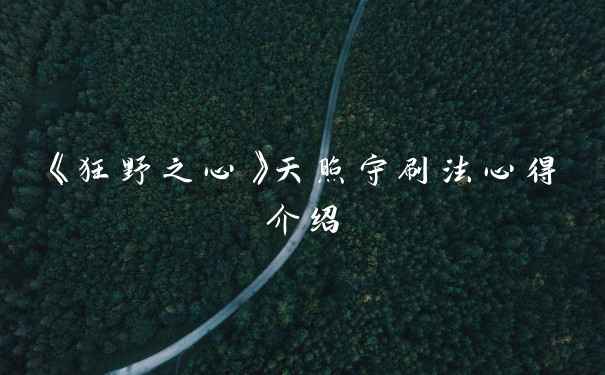 《狂野之心》天照守刷法心得介绍