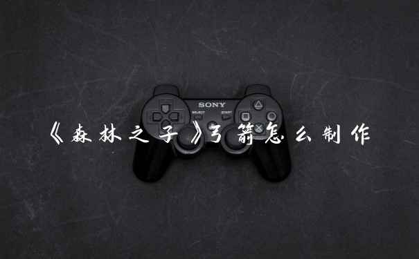《森林之子》弓箭怎么制作