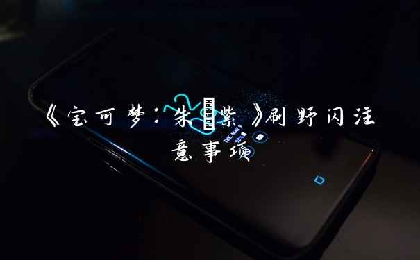 《宝可梦：朱/紫》刷野闪注意事项