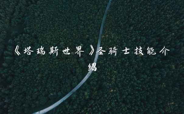 《塔瑞斯世界》圣骑士技能介绍