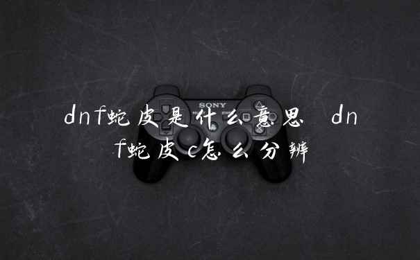 dnf蛇皮是什么意思 dnf蛇皮c怎么分辨