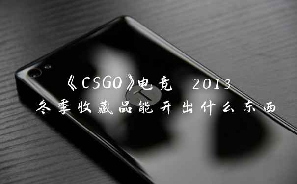 《CSGO》电竞 2013 冬季收藏品能开出什么东西
