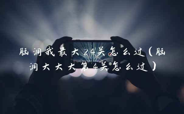 脑洞我最大24关怎么过（脑洞大大大第4关怎么过）
