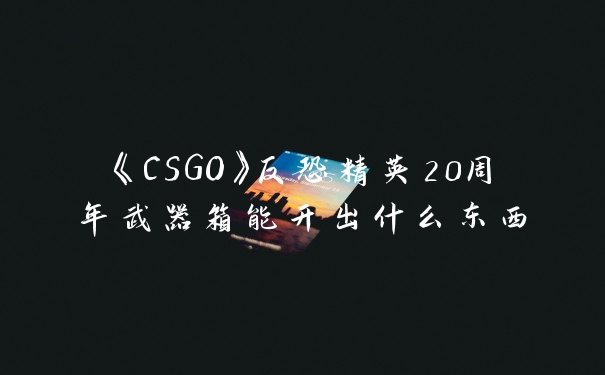 《CSGO》反恐精英20周年武器箱能开出什么东西