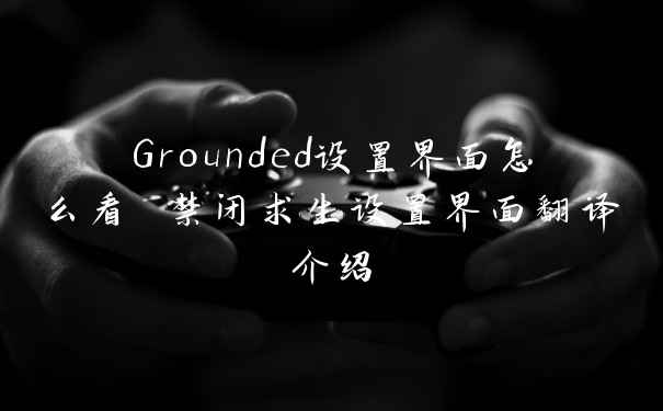 Grounded设置界面怎么看 禁闭求生设置界面翻译介绍