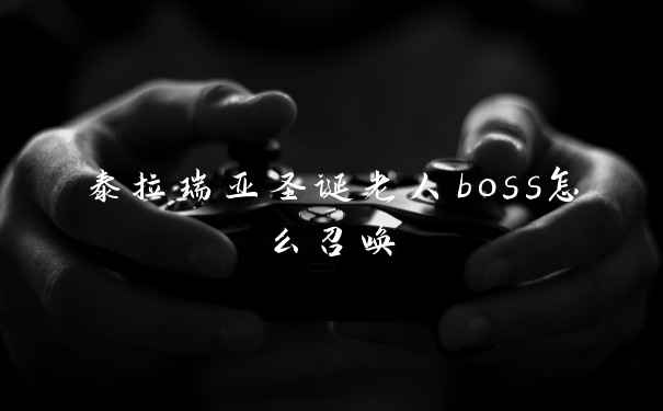 泰拉瑞亚圣诞老人boss怎么召唤