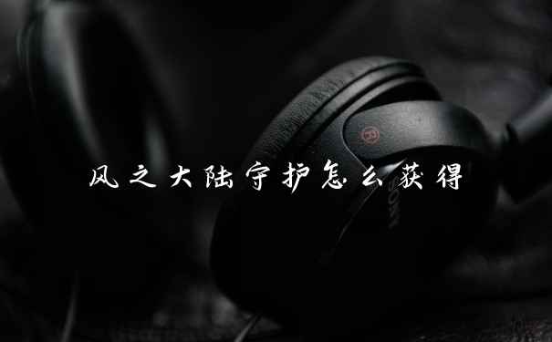 风之大陆守护怎么获得