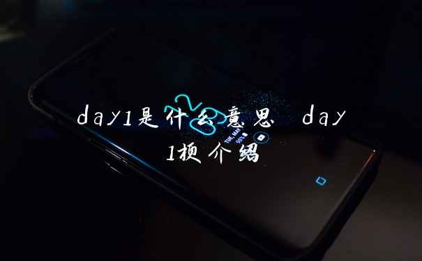 day1是什么意思 day1梗介绍