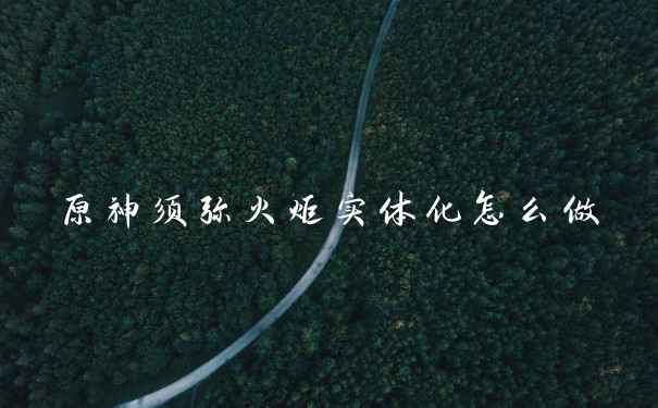 原神须弥火炬实体化怎么做