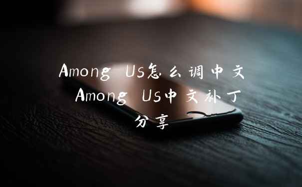 Among Us怎么调中文 Among Us中文补丁分享