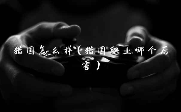 猎国怎么样（猎国职业哪个厉害）