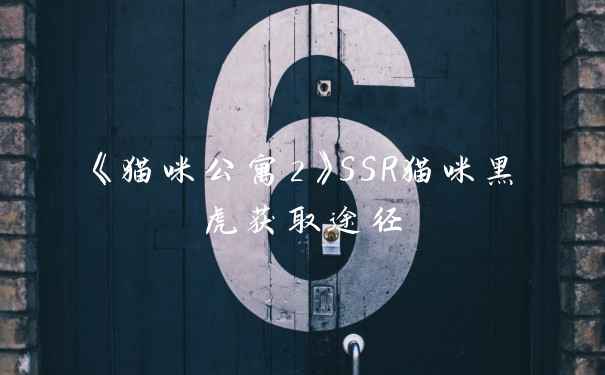 《猫咪公寓2》SSR猫咪黑虎获取途径