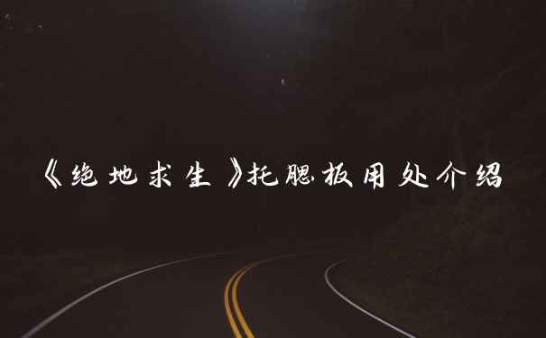 《绝地求生》托腮板用处介绍