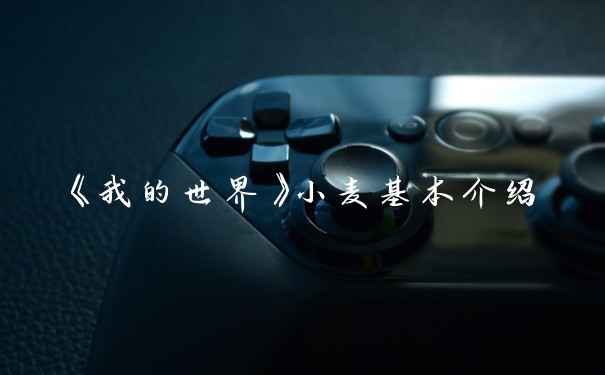 《我的世界》小麦基本介绍