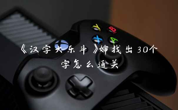 《汉字大乐斗》婶找出30个字怎么通关