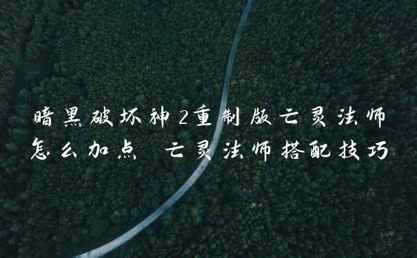 暗黑破坏神2重制版亡灵法师怎么加点 亡灵法师搭配技巧
